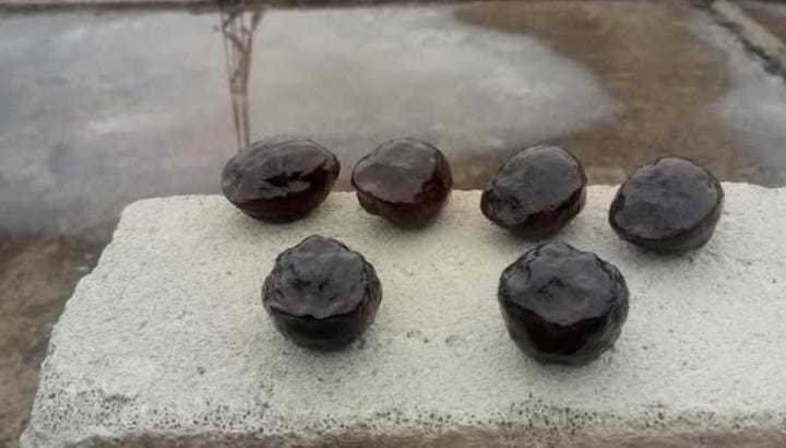 Ngadu Muncang, Permainan Tradisional Khas Sunda Kegemaran Raja